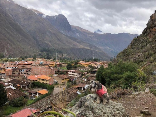 Janaxpacha Hostel image 24