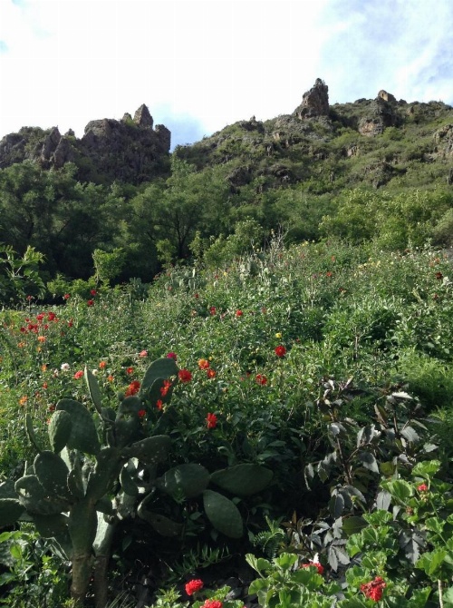 Janaxpacha Hostel image 9